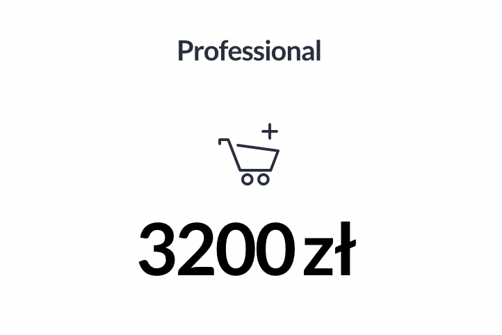 Professional Store